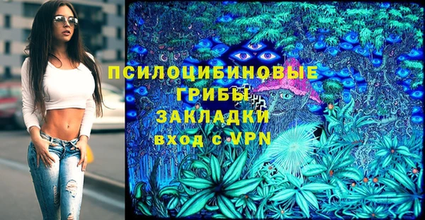 эйфоретик Алзамай