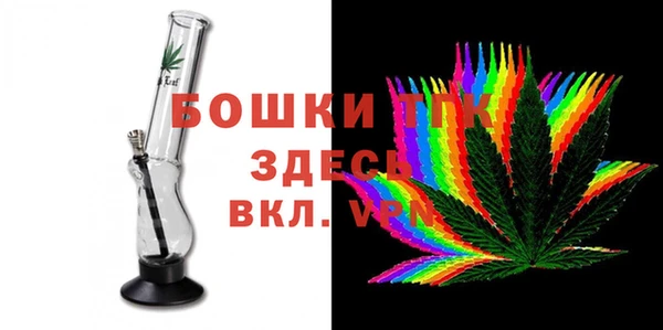 гидра Магас